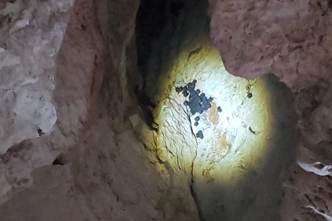 Puerto Plata: Samana, Bacardi Island, and Los Haitises Tour