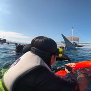 Moalboal Cebu - Sardines Run & Turtle watching Moalboal Cebu - Sardines Run & Turtle watching
