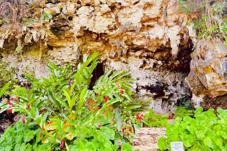 Montego Bay : Expérience des grottes de Cockpit