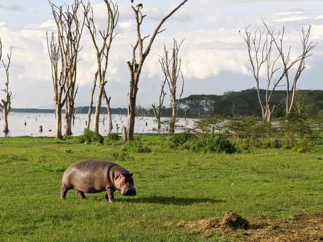 Nairobi: 3-Day Great Rift Valley Safari with Boat Ride
