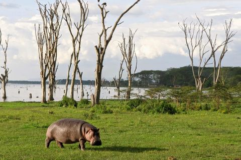 Nairobi: 3-Day Great Rift Valley Safari with Boat Ride