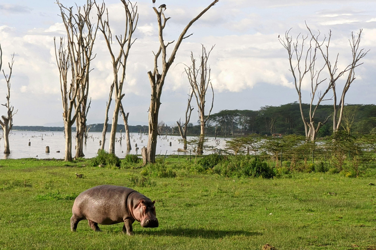 Nairobi: 3-Day Great Rift Valley Safari with Boat Ride