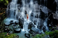 Bali, Kanto Lampo Wasserfall, Schwung & Affenwaldtagausflug - Housity