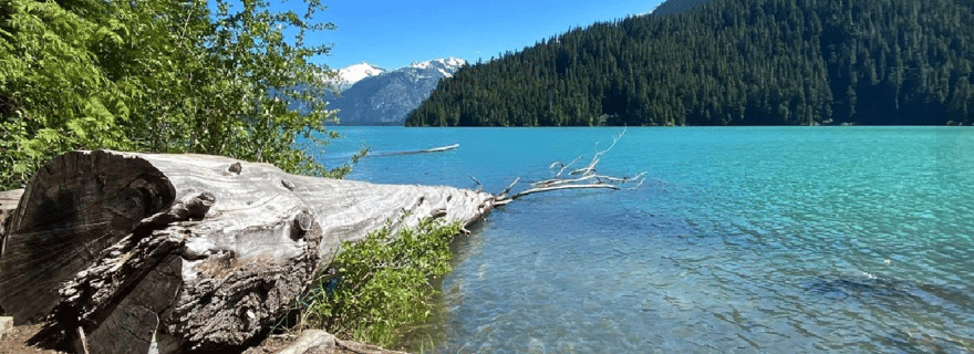 Whistler : randonnée guidée au lac Cheakamus dans le parc Garibaldi