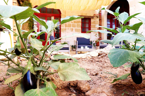 Gozo: Traditional and Local Breakfast in a Historic building