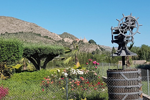 Santa Pola, Gran Alacan, Urbanova: Guided Wine Tasting Tour