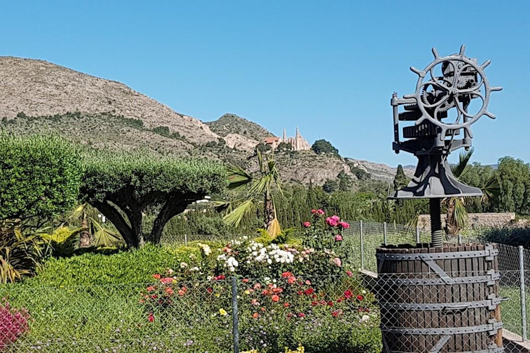 Santa Pola, Gran Alacan, Urbanova: Guided Wine Tasting Tour