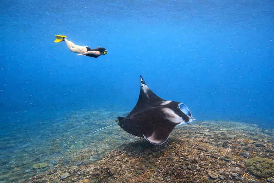Bali/Nusa Penida: Schnorcheln am Manta Point & Westküste. Foto: GetYourGuide