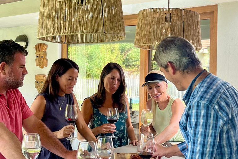 Santiago : expérience asado et dégustation de vinsSantiago : expérience d&#039;asado et dégustation de vins