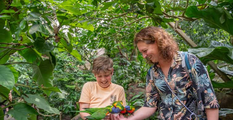 Emmen: Wildlands Adventure Zoo and Rimbula River Boat Ride photo 12