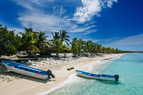 Ekskluzywna wycieczka na wyspę Catalina z transportem i obiadem w cenie