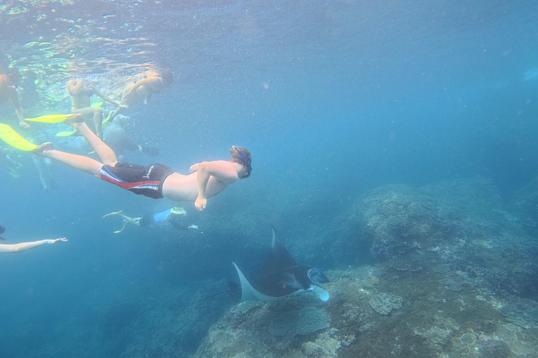 Nusa Penida: Snorkeling Adventure 3-Spots with Manta Rays Nusa Penida: Snorkeling Manta Point 3-Spots with Manta Rays