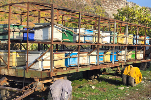 Tbilisi: Silk Road Secret Pass 4x4 Tour to Rkoni & Picnic