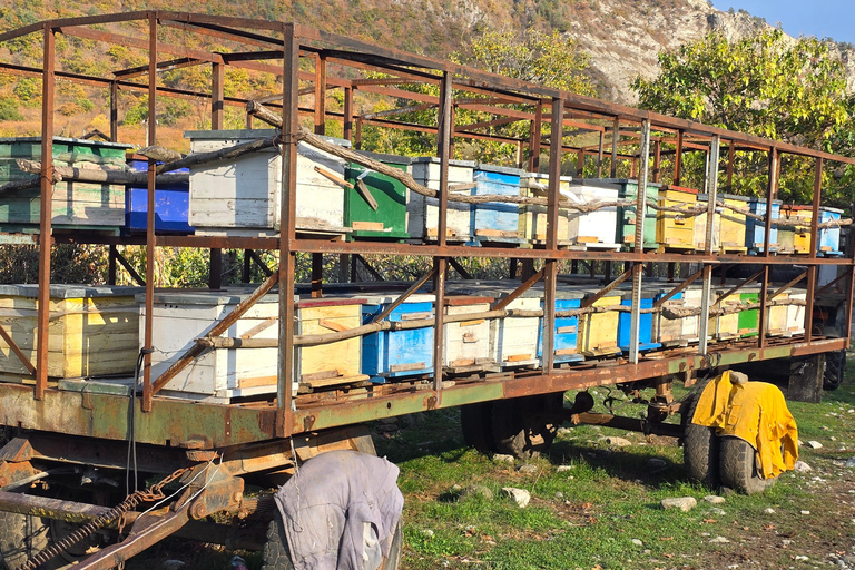 Tbilisi: Silk Road Secret Pass 4x4 Tour to Rkoni & Picnic