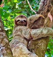 QuePos, Manuel Antonio National Park Guided Tour - Housity