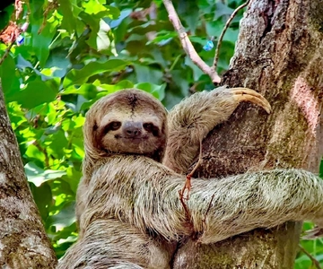 Quepos: Manuel Antonio National Park Guided Tour