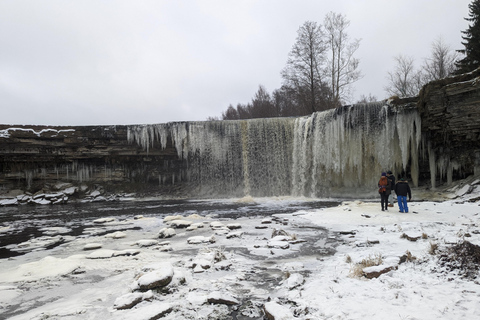 Au départ de Tallinn : Chute d&#039;eau de Jägala et pique-nique