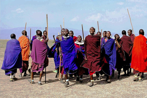 3 Dagen 2 nachten safari Mikumi avontuur