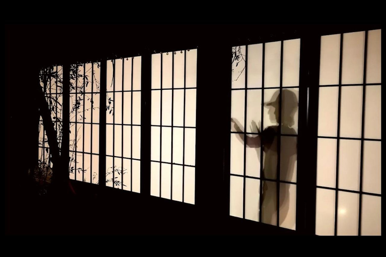 شنغهاي: تجربة بادوانجين تشي كونغ - تنمية السلام الداخليشنغهاي: دورة وينغ تشون خاصة - فن القوة الداخل