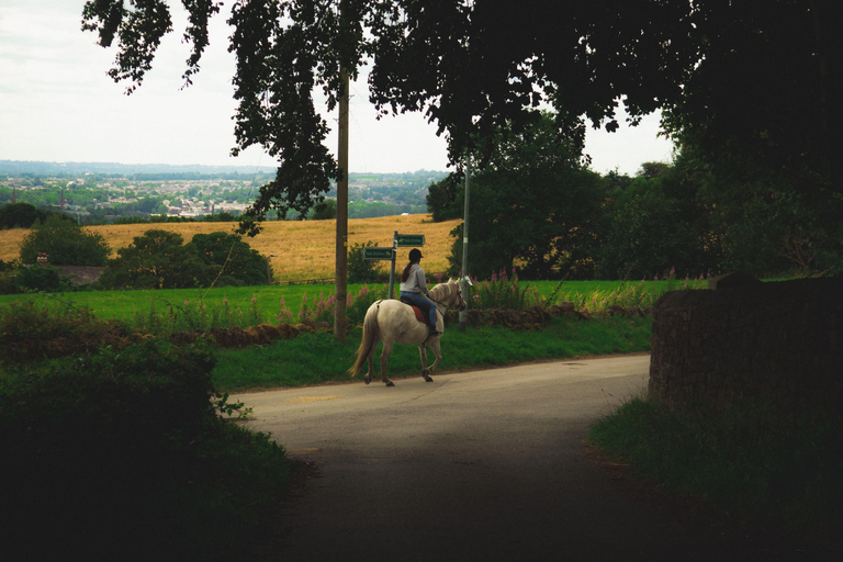 Vilnius: Forest Horseback Adventure for Two