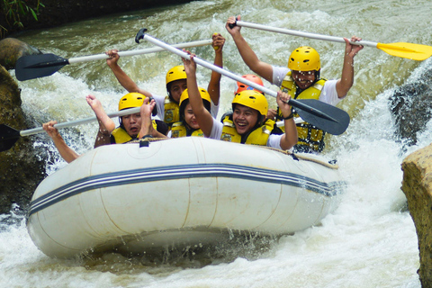 Bali: Telaga Waja River Rafting Small-Group Tour with Lunch Standard: Rafting Tour with Lunch & Shared Transfer