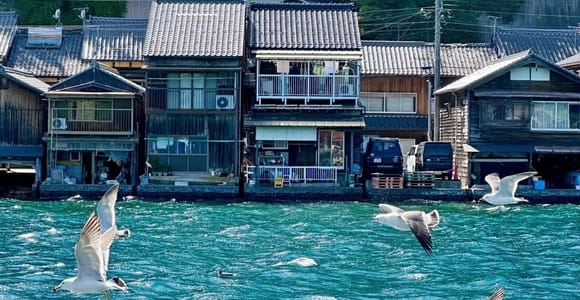 From Kyoto: Ine Bay Cruise & Amanohashidate Day Trip