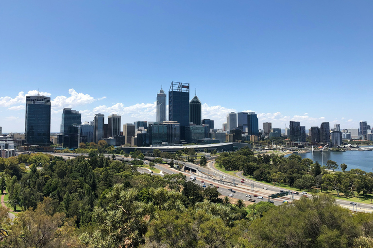 Kings park, Beach and Pinnacles in 1 day