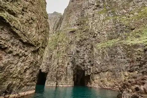 Vestmanna Bird Cliffs, Leynar, and Kvívík Tour