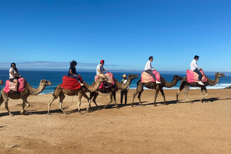 A partir de Sevilha: viagem de 2, 3 ou 4 dias ao Marrocos com ferry e guiaSevilha: viagem de 4 dias ao Marrocos
