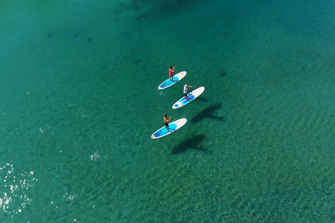 Kingscliff: Paddleboard and Mindfullness in the Mangroves