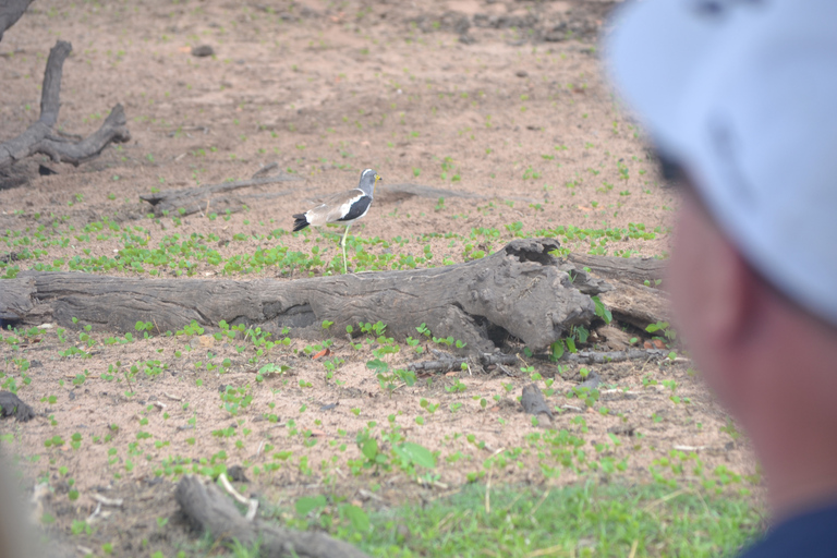 Victoria Falls: Chobe & Okavango Delta Camping Safari Tour