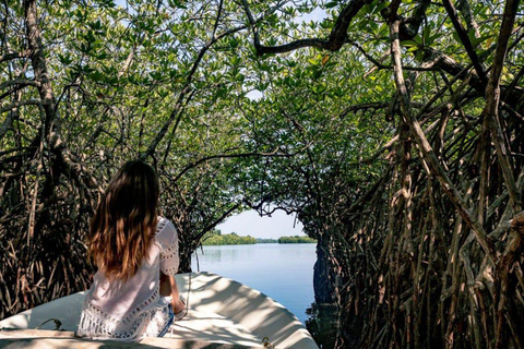 From Colombo: Galle Fort, Madu River, Bentota Day Tour