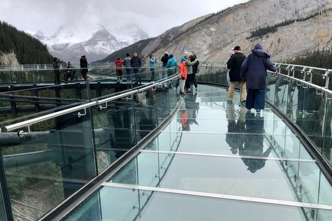 Columbia Icefield Adventure: Peyto lake, Bow lake & Glaciers