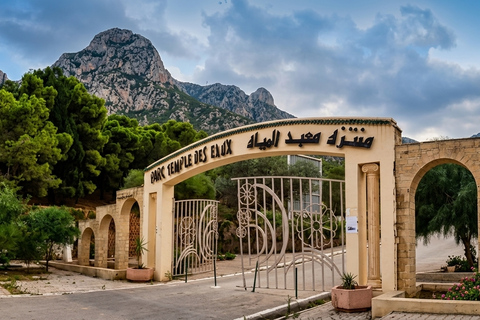 From Hammamet: Private Day Trip to Oudhna, Zaghouan, and Zriba El Olia Without a live guide