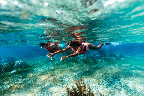 Cancún: Super Combo con quad, tirolinas, cenote y snorkelATV compartido