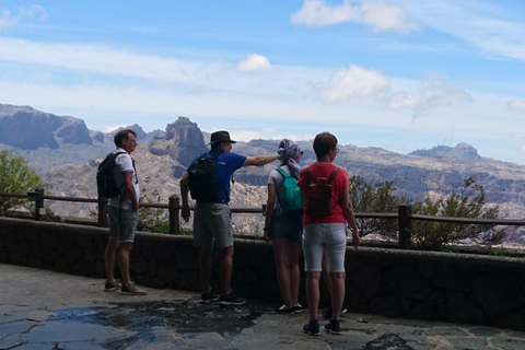 Las Palmas: Gran tour da Maspalomas alle montagne di Tejeda