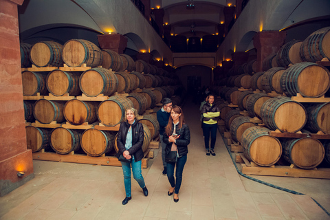 De Yerevan: Tour particular do vinho, visita ao vinhedo, museu do vinhoTour particular com guia de turismo