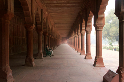 Au départ de Delhi : excursion privée d&#039;une journée au Taj Mahal et à AgraVisite d&#039;une jounée avec déjeuner et billets pour les monuments, tout compris