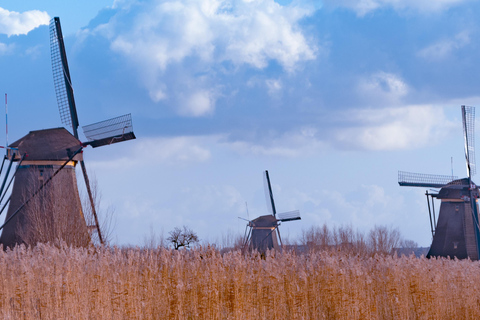 Från Amsterdam: Se Kinderdijk, Euromast, Delft och Den Haag