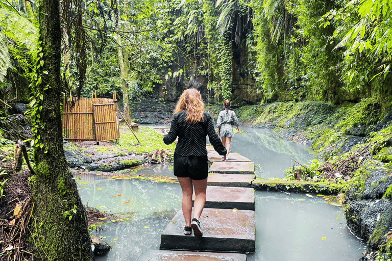 Bali: Ubud Rice Terraces, Monkey Forest & Waterfall Tour Full Package: All entry fees & lunch included