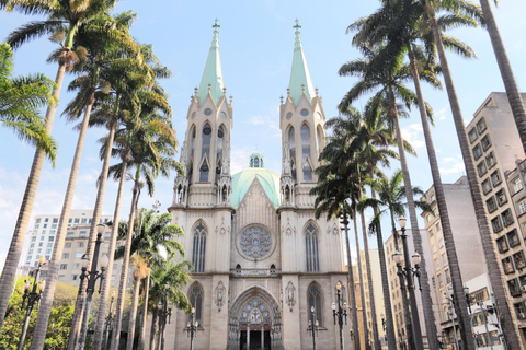 Best of Sao Paulo Highlights Private Guided Tour By Car 3-hour: Old Town Tour & Transport