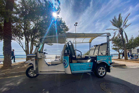 Alicante Tuk Tuk Overview Tour