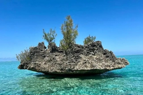 Mauritius: 2-Day North Discovery & Benitier Island Tour