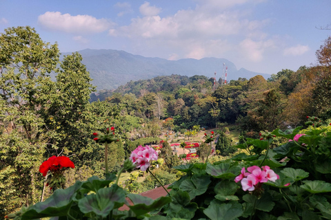 Chiang Rai: Mountains Discovery Doi Mae Salong & Doi Tung Mountains Discovery:Doi Mae Salong & Doi Tung (Private Tour)