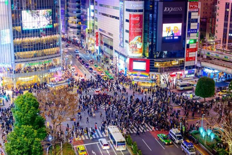 Tokio: Private geführte Tour mit Abholung vom Hotel und Rücktransfer zum Hotel