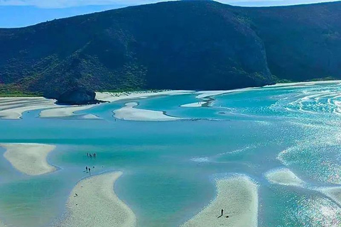 La Paz: Espíritu Santo & Balandra Boat Tour with Ceviche