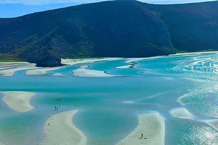 La Paz: Espíritu Santo & Balandra Boat Tour with Ceviche