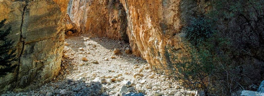 Depuis La Canée : visite des gorges d'Imbros avec un guide de randonnée professionnel