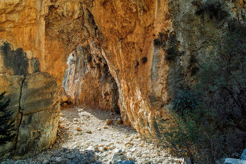 Au départ de La Canée : randonnée et baignade dans les gorges d&#039;Imbros et à Sfakia (journée)