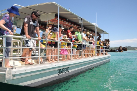 Gold Coast: Tangalooma Marine Discovery Day Cruise